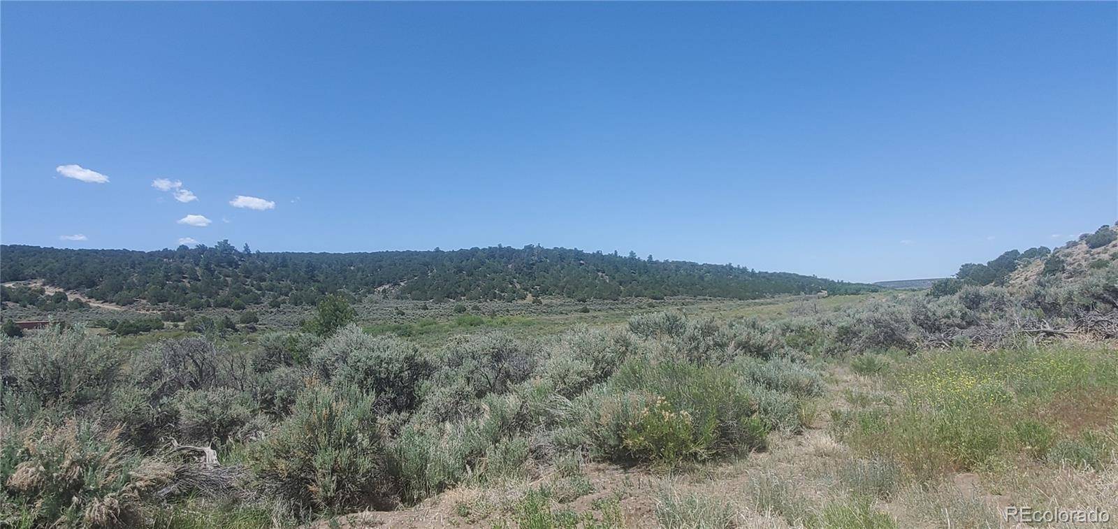 Fort Garland, CO 81133,Lot 7510 Charmin RD