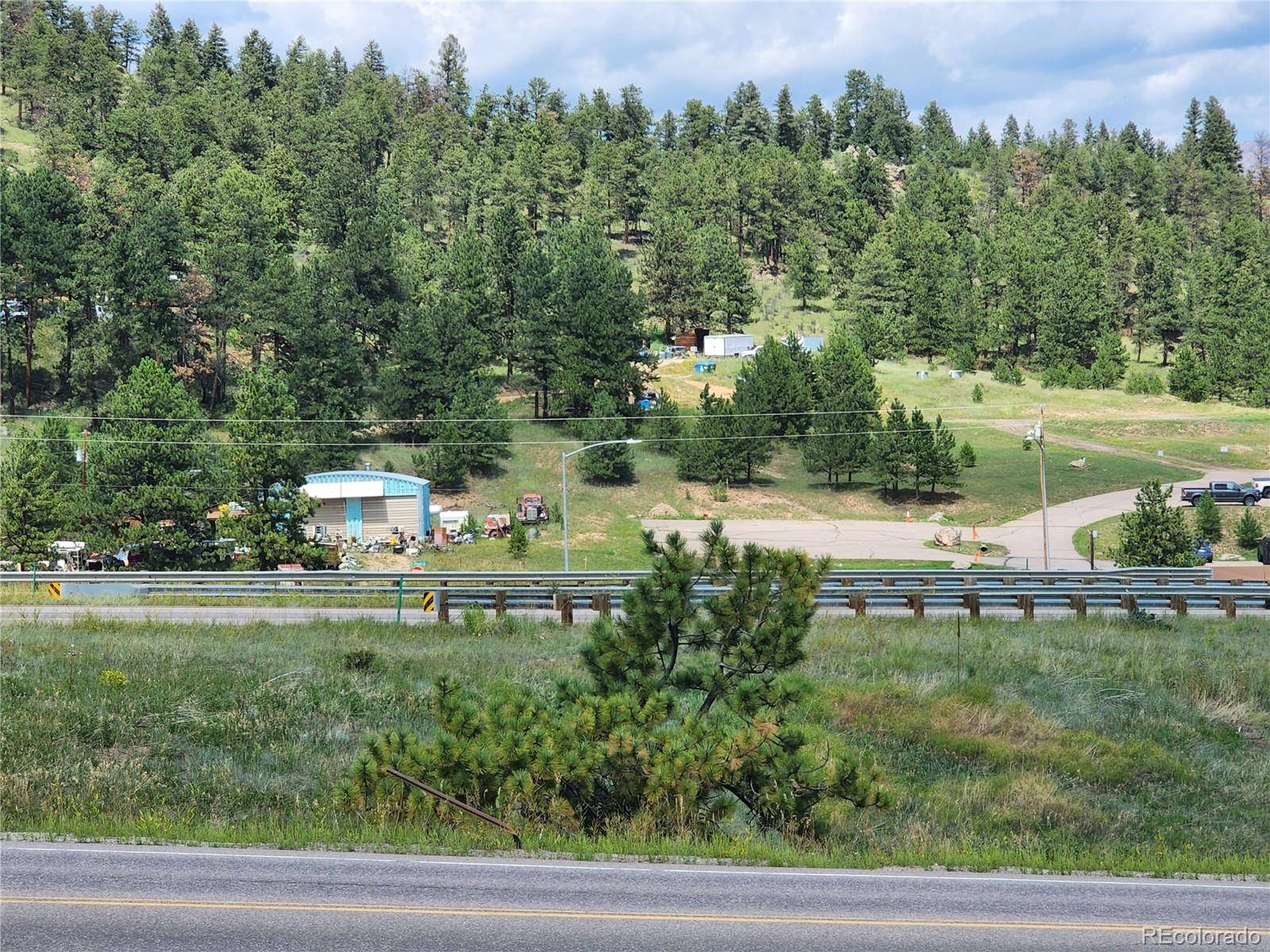 Bailey, CO 80421,201 Delwood DR