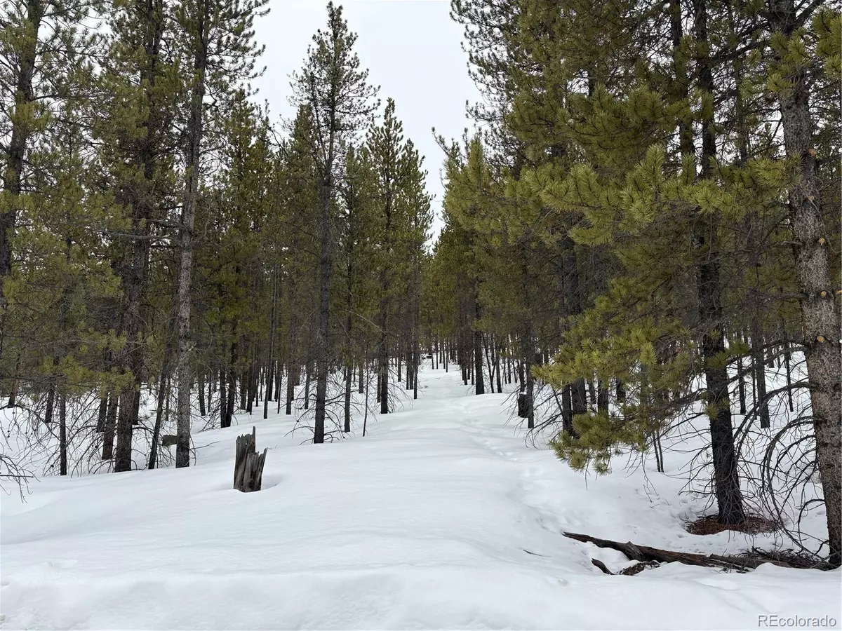 Twin Lakes, CO 81251,104 & 124 Mt Massive RD