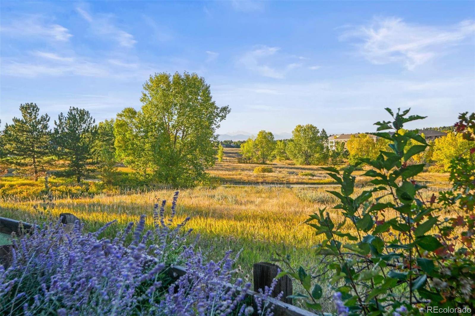 Highlands Ranch, CO 80126,2803 Ravenhill CIR