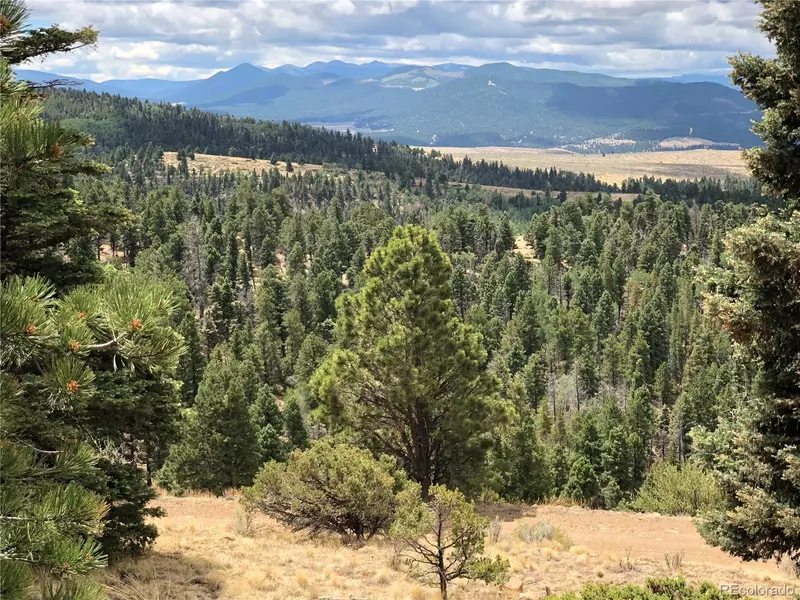 Lot 174 Ferris PL, Fort Garland, CO 81133