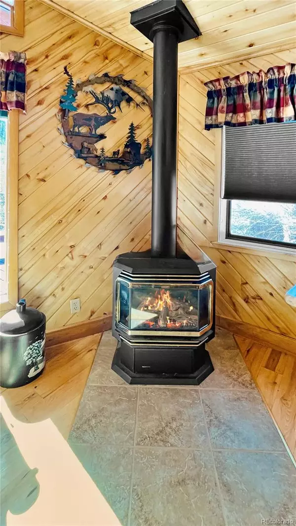 Antonito, CO 81120,18 Pine