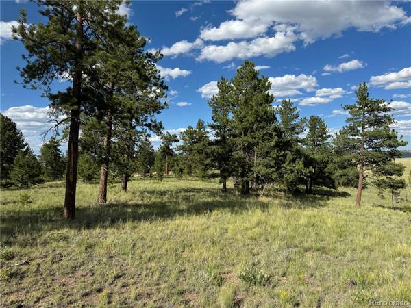 Hartsel, CO 80449,833 Angus CIR