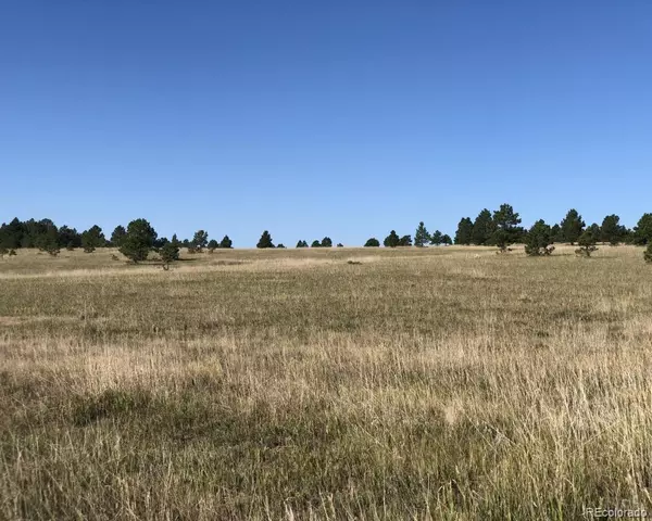 Elizabeth, CO 80107,31141 Private Road 23