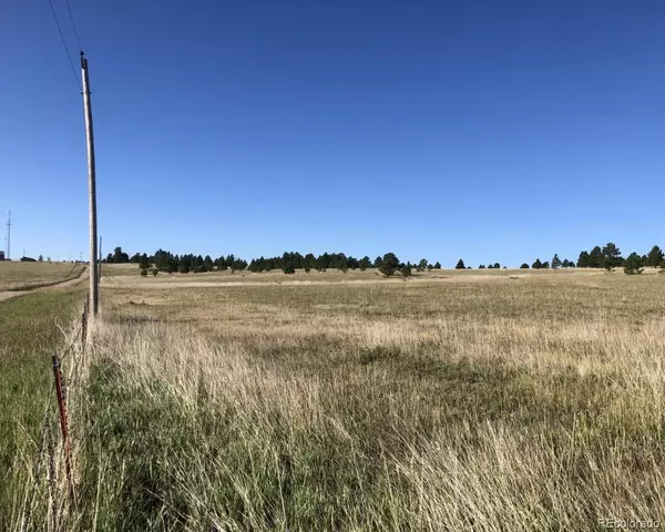 Elizabeth, CO 80107,31141 Private Road 23