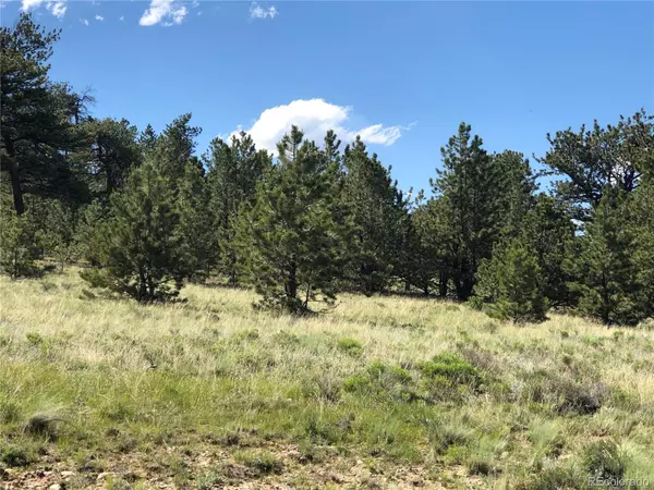 3467 Goldenberg Canyon RD, Hartsel, CO 80449