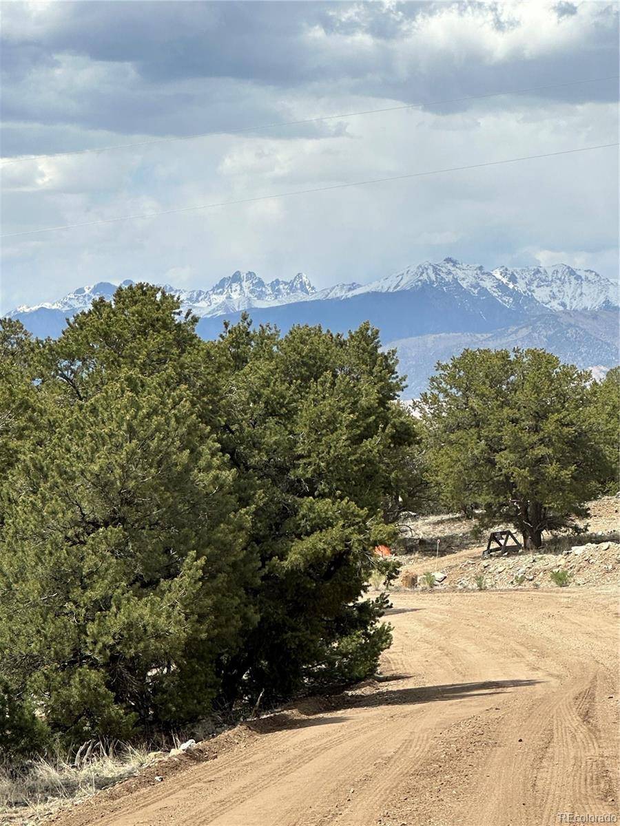 Mosca, CO 81146,158 Cedar Ridge RD
