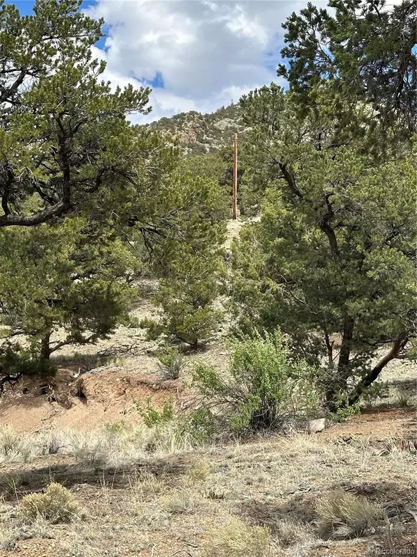 Mosca, CO 81146,158 Cedar Ridge RD