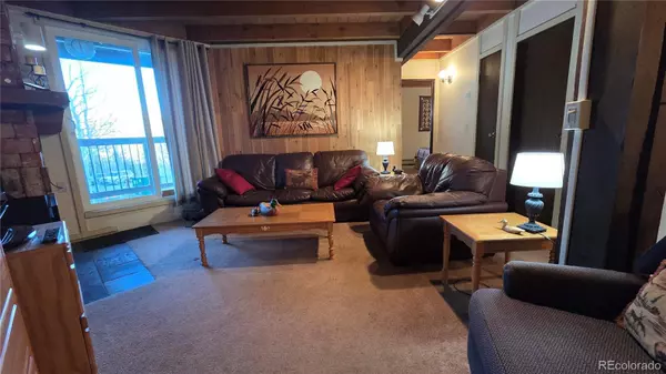 Silverthorne, CO 80498,2300 Lodge Pole CIR #101