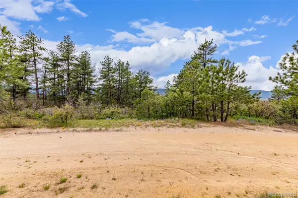 Larkspur, CO 80118,2050 Spring Beauty LN