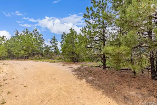 Larkspur, CO 80118,2050 Spring Beauty LN