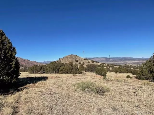 Canon City, CO 81212,87 Eagle Crest LOOP