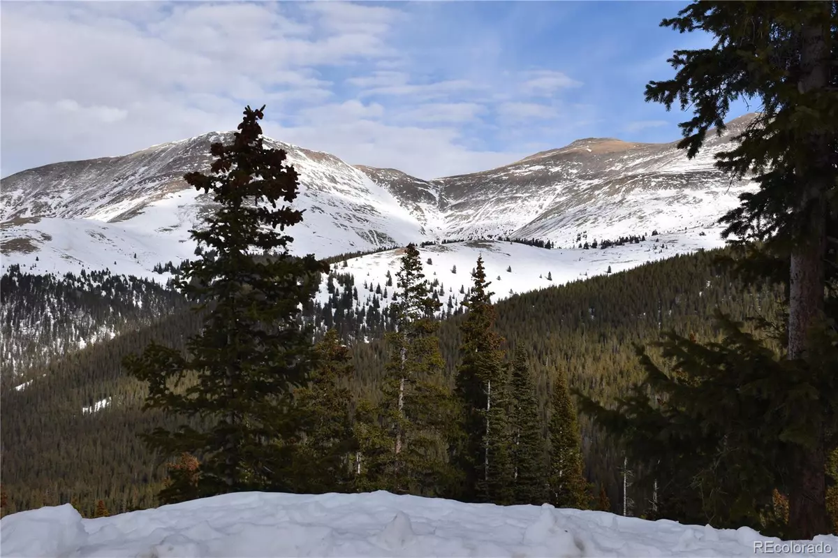 Breckenridge, CO 80424,404 Carroll LN