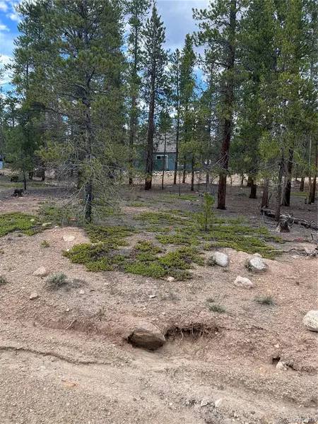 379 Birch DR, Twin Lakes, CO 81251