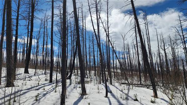 Fort Garland, CO 81133,1460 & 1470 Von Hyle LN