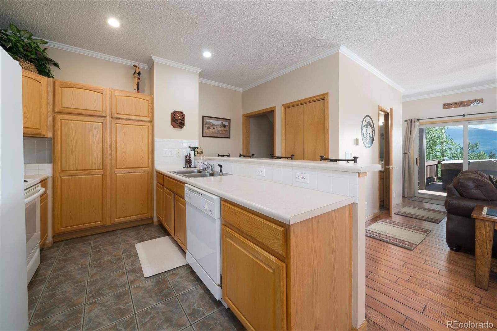 Silverthorne, CO 80498,81 Twenty Grand CT