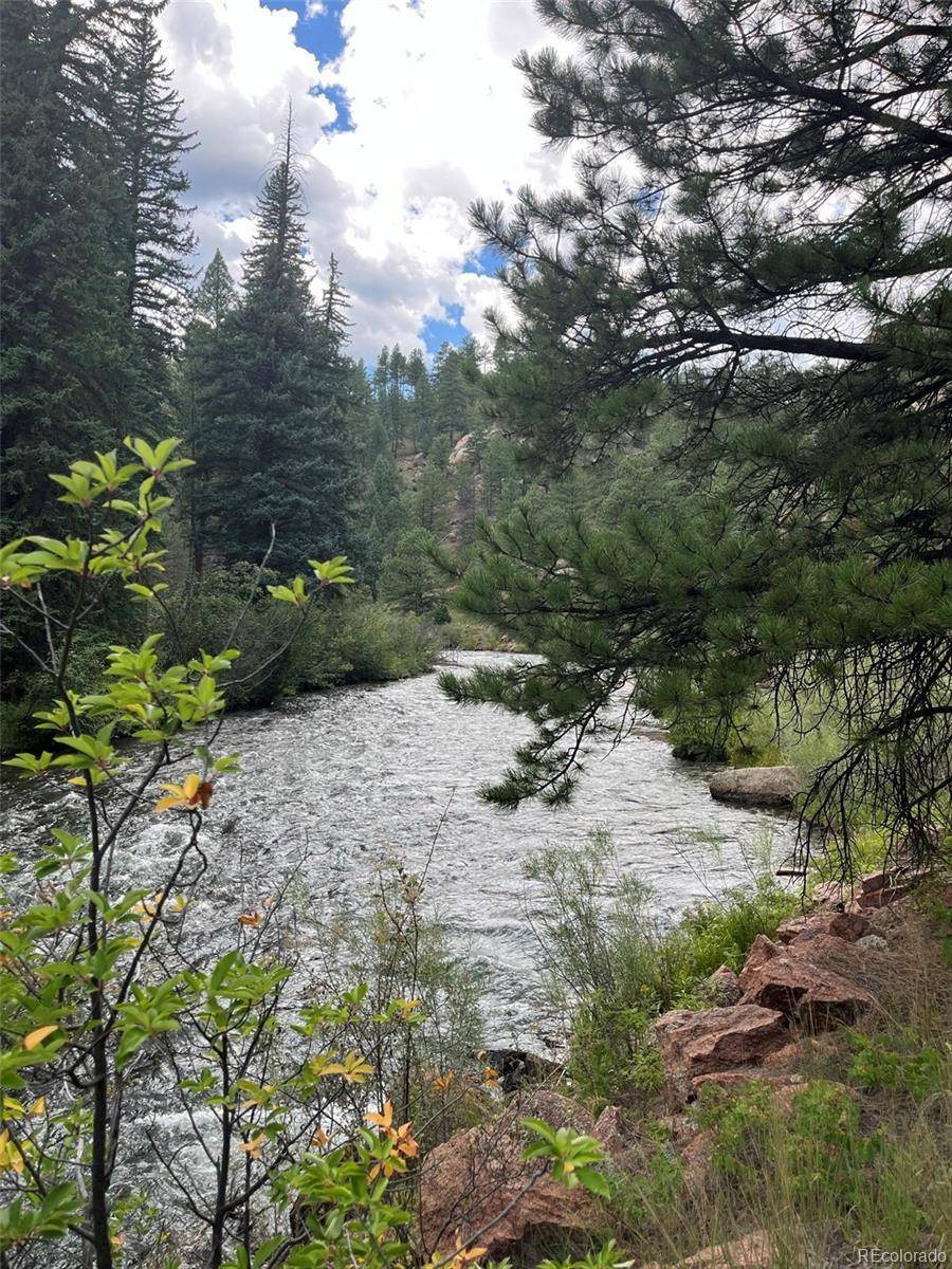 Bailey, CO 80421,168 Holmes Gulch WAY