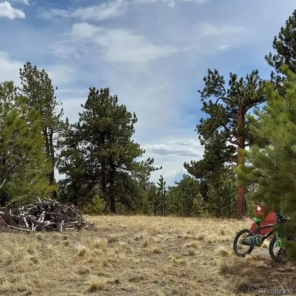 Hartsel, CO 80449,614 Yellowstone RD