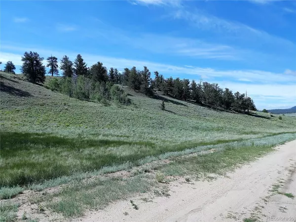 Hartsel, CO 80449,780 Cathy DR