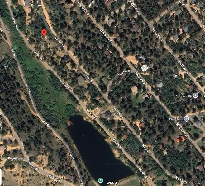 367 Neish ST, Bailey, CO 80421