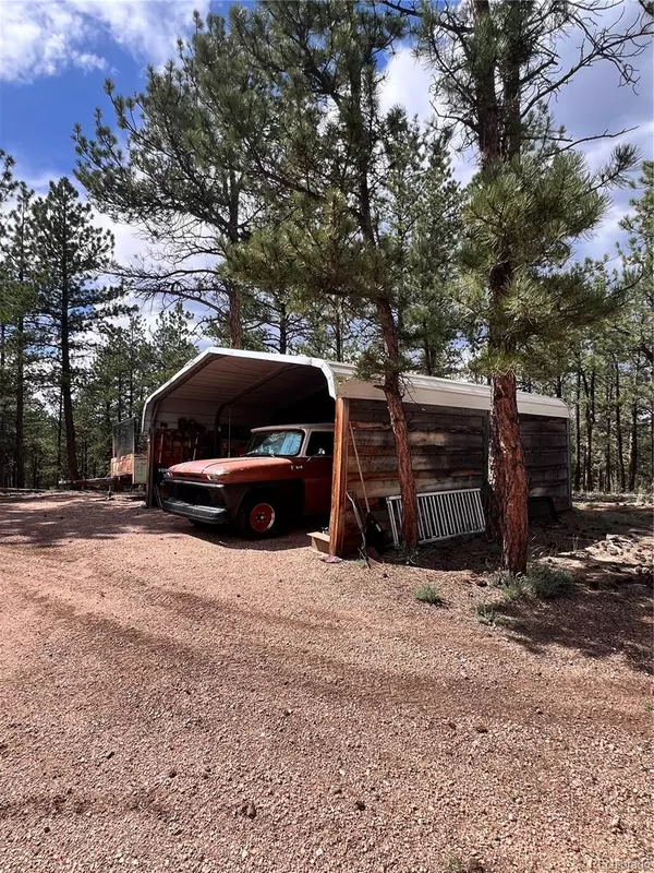 Florissant, CO 80816,434 Blue Mountain DR