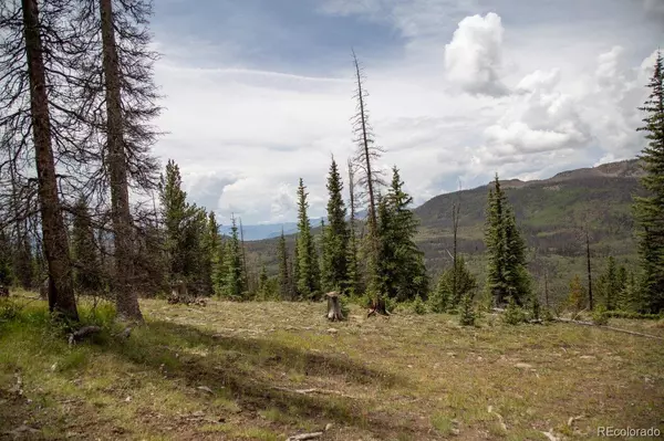 Creede, CO 81130,000 USFS 504