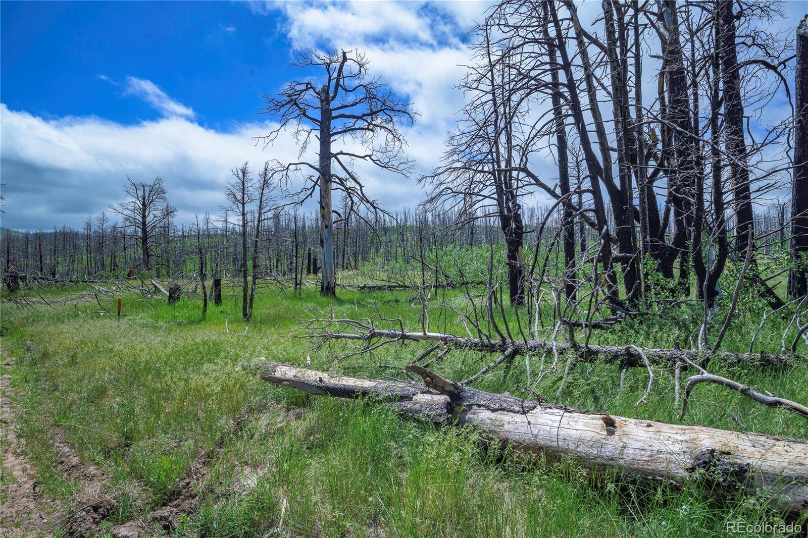 Fort Garland, CO 81133,1185 Bechtel PL