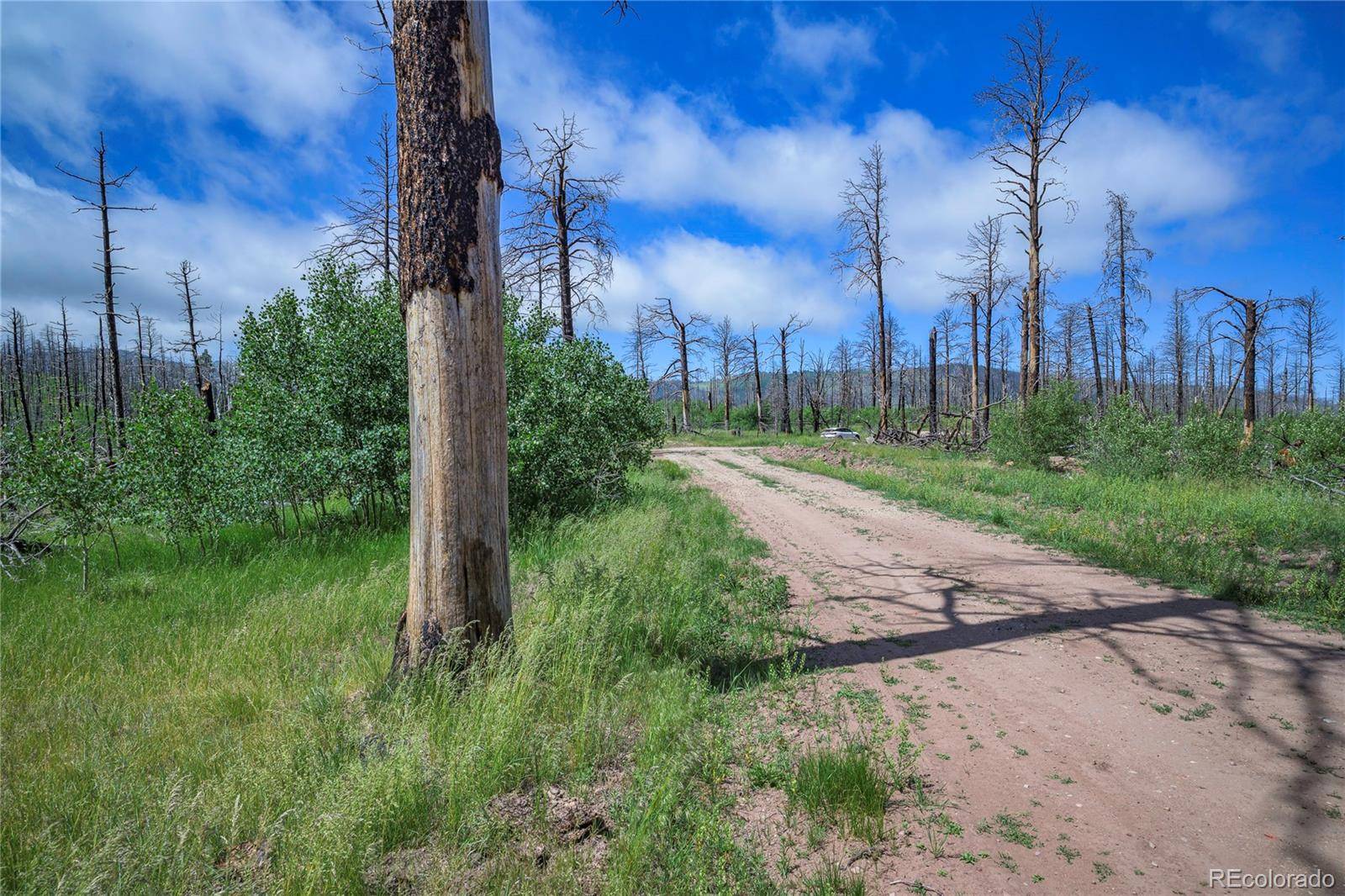 Fort Garland, CO 81133,1185 Bechtel PL