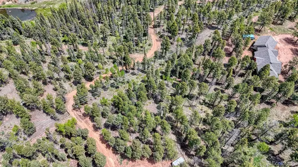 Florissant, CO 80816,28 Deer CIR