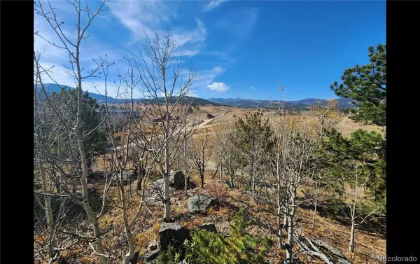 Central City, CO 80427,1151 Upper Apex RD