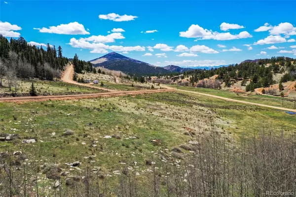 Cripple Creek, CO 80813,1319 Anges DR