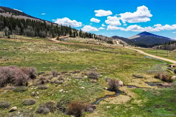Cripple Creek, CO 80813,1319 Anges DR