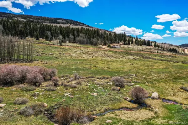 Cripple Creek, CO 80813,1319 Anges DR