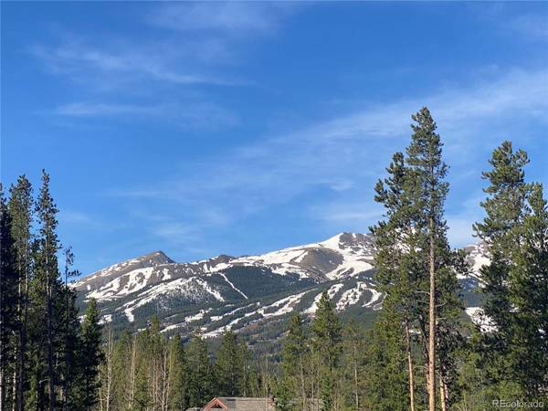 32 Rounds RD, Breckenridge, CO 80424