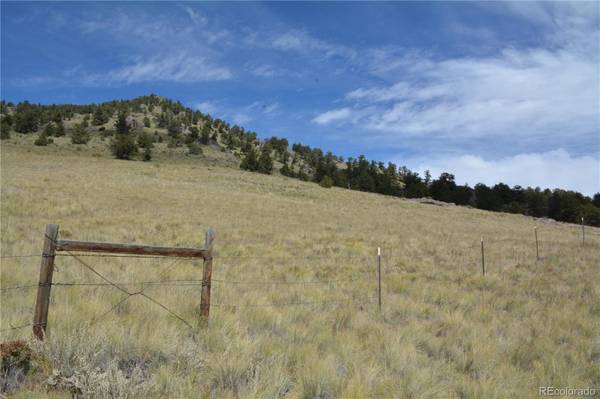 Guffey, CO 80820,Lot 47 Saddle Mountain PASS