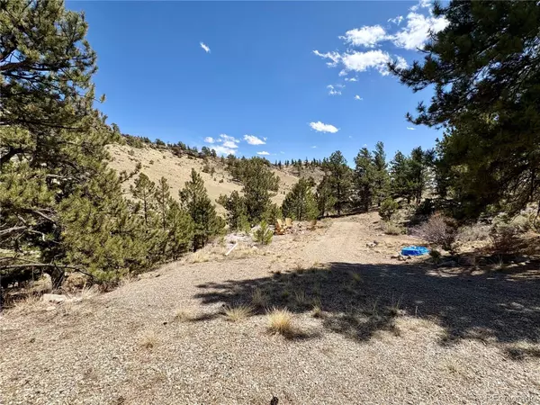 Fairplay, CO 80440,948 Deadman RD