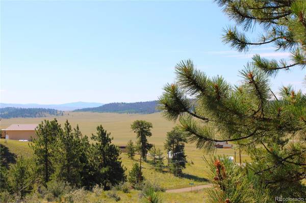 Hartsel, CO 80449,729 Bridle PATH