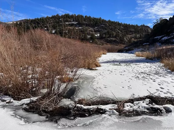 Florissant, CO 80816,1840 Lakemoor DR