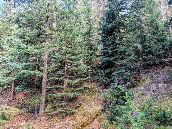 Fort Garland, CO 81133,48 Acres Forbes RD