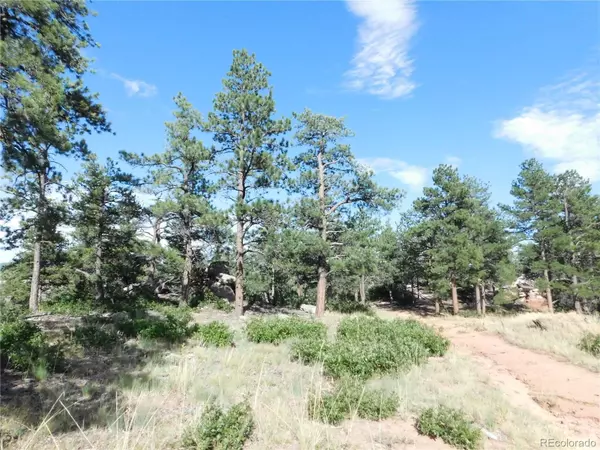 Larkspur, CO 80118,5985 Ottawa CT