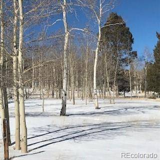 2027 Pitchfork RD, Hartsel, CO 80449