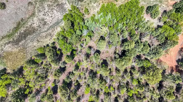 Cripple Creek, CO 80813,Lot 60 Monarch DR