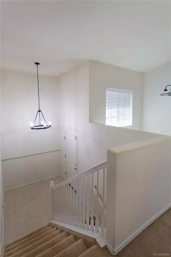 Colorado Springs, CO 80916,639 Bosque Vista PT