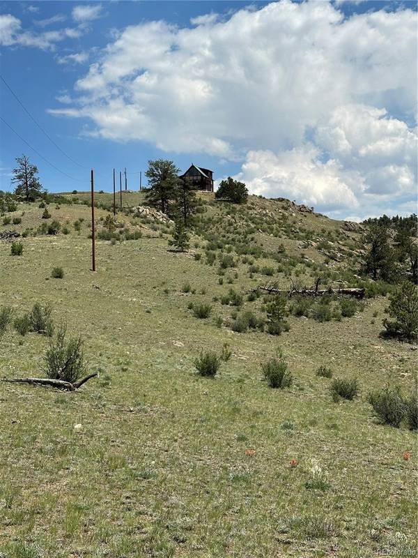 000 Woroka TRL, Hartsel, CO 80449