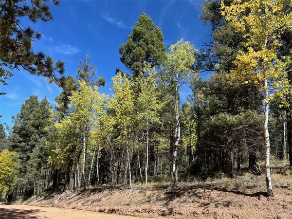 Florissant, CO 80816,643 Pinewood RD