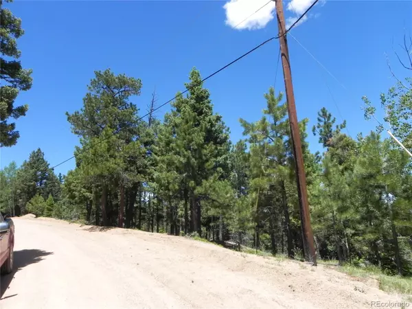 Larkspur, CO 80118,13910 Boulder LN
