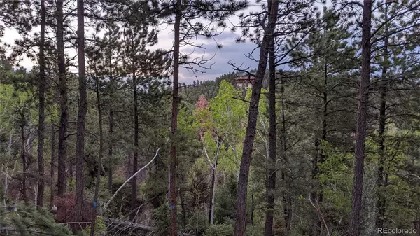 Larkspur, CO 80118,13910 Boulder LN