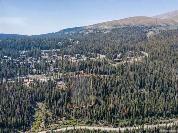 Breckenridge, CO 80424,585 County Road 805