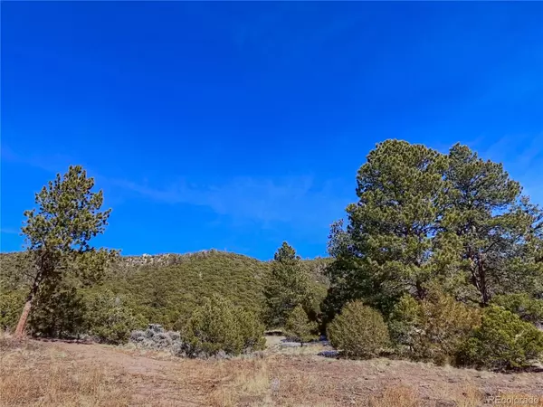 Fort Garland, CO 81133,00 Adelaide RD