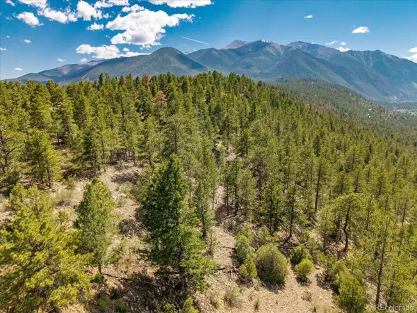 Nathrop, CO 81236,000 Oppliger DR